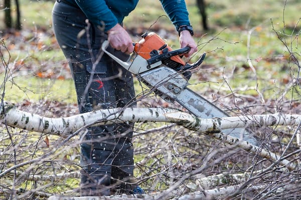 how-to-choose-the-perfect-cordless-chainsaw