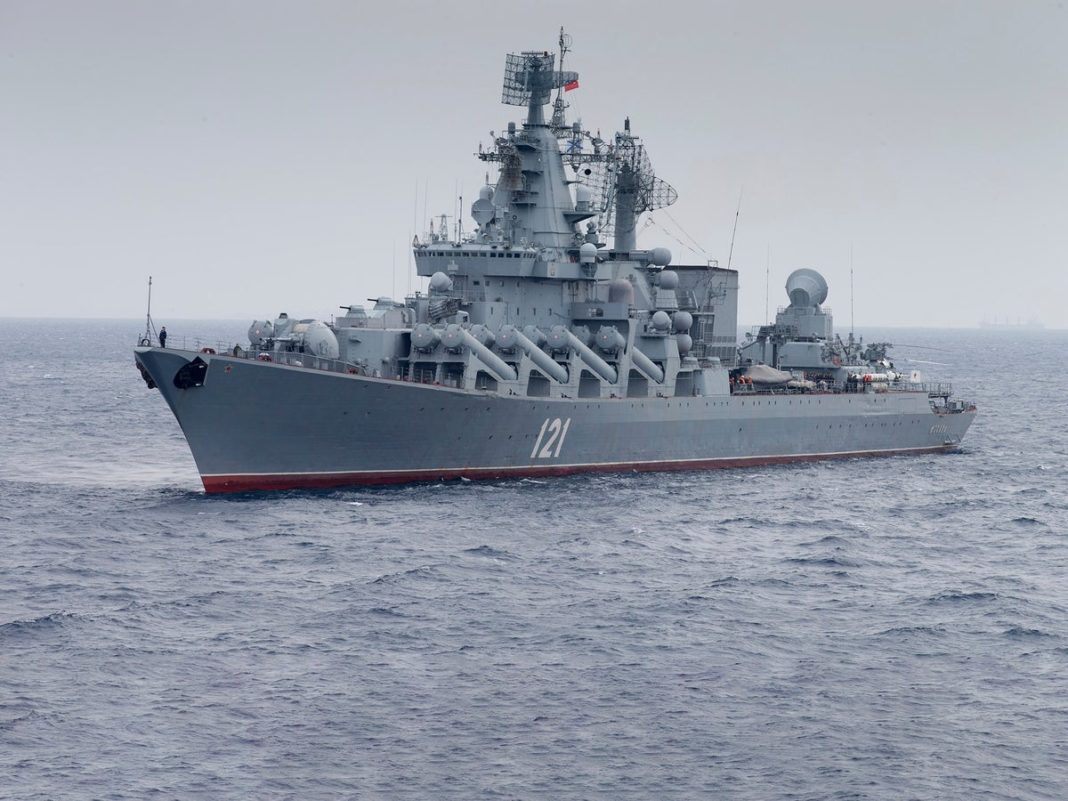 ‘several-thousand’-dolphins-may-have-already-died-amid-russia-ukraine-war,-black-sea-scientists-warn