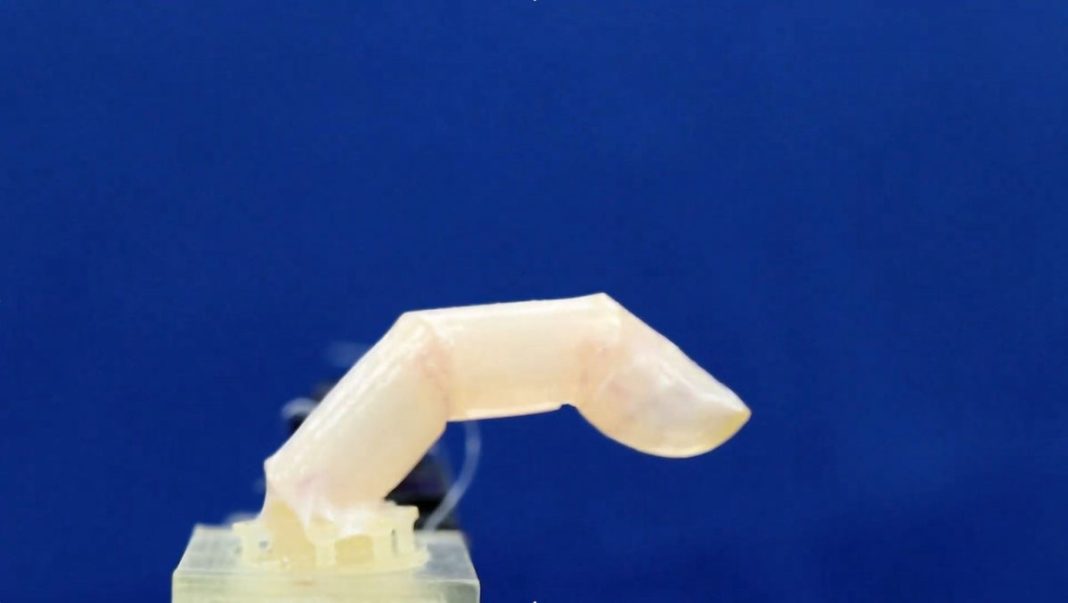 scientists-create-living-human-skin-for-robots