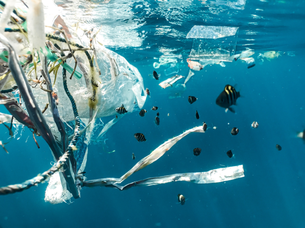 ocean-plastic-pollution-could-be-source-of-new-antibiotics,-study-suggests