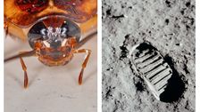 nasa-wants-its-moon-dust-and-cockroaches-back-—-now!