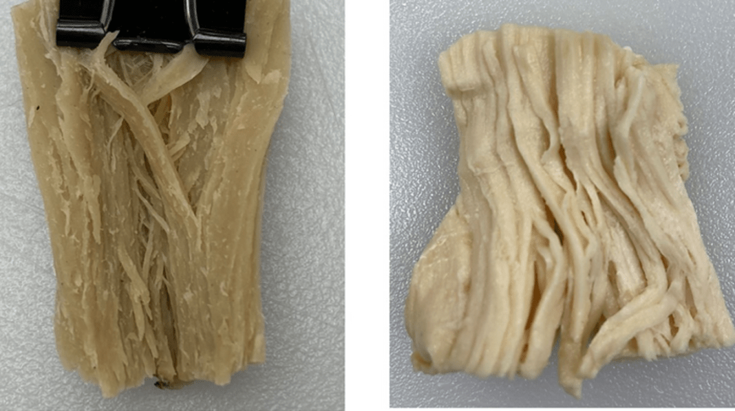 body-less-able-to-absorb-protein-from-vegan-‘meat’,-study-suggests