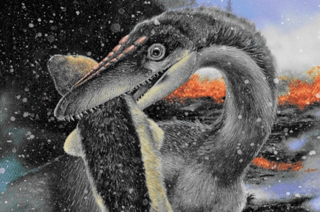 dinosaurs-took-over-planet-amid-cold-that-other-reptiles-couldn’t-survive-200-million-years-ago,-study-finds
