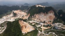 earth-is-on-track-to-lose-more-than-1,000-wild-mammal-species,-un-report-says