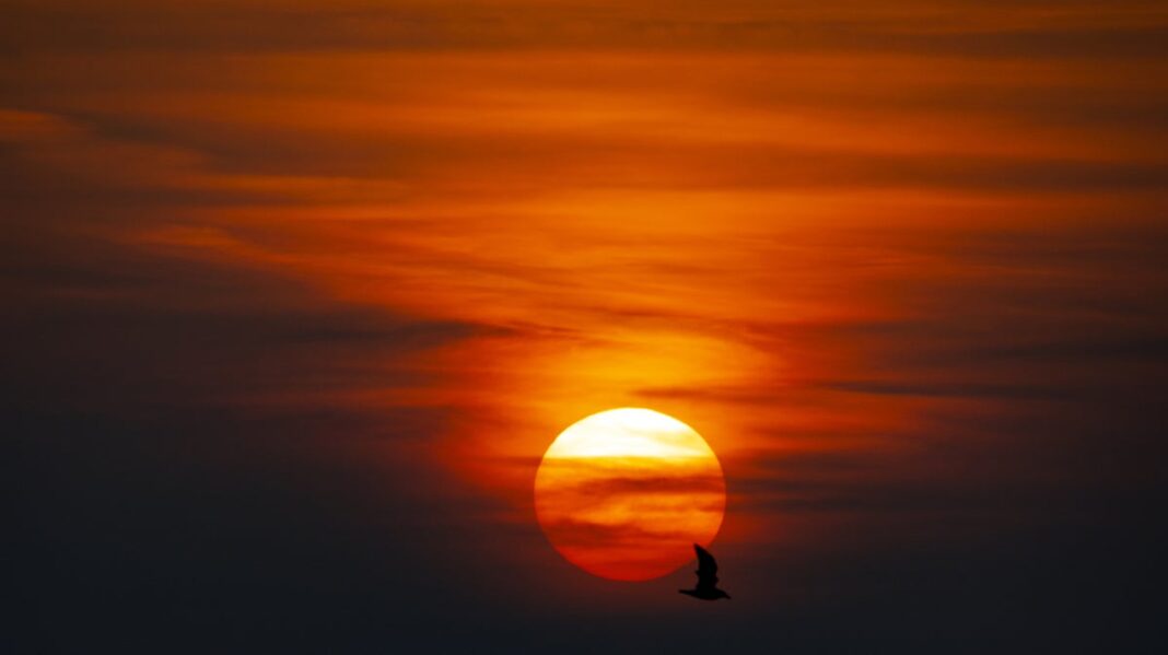 heatwaves-‘more-frequent,-longer-and-hotter’-due-to-climate-change