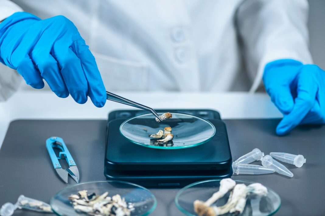 regular-tiny-doses-of-psychedelic-mushroom-found-to-improve-mood,-mental-health