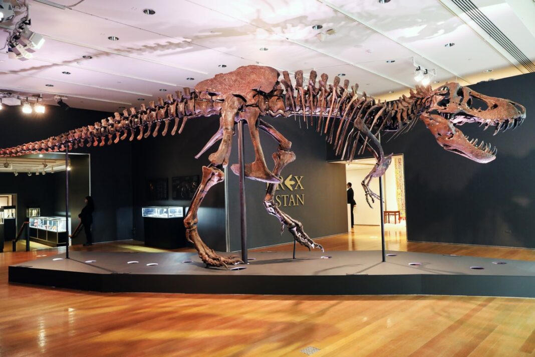 new-study-refutes-claim-that-t-rex-could-have-been-three-different-dinosaur-species