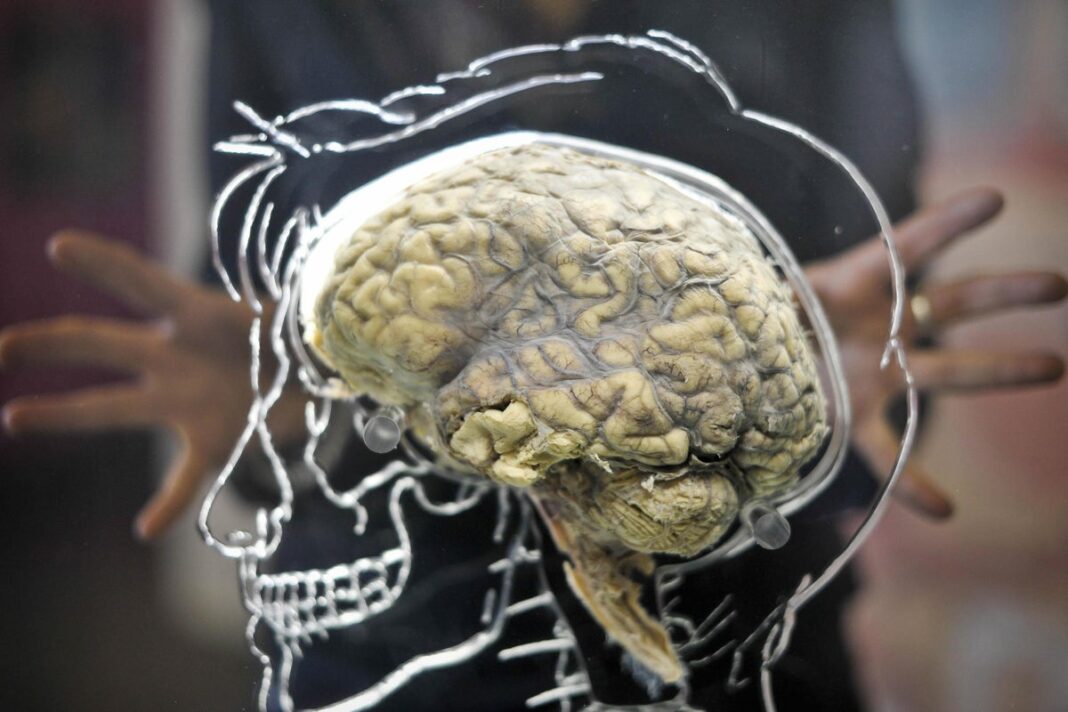 experts-identify-link-between-head-injuries-and-brain-tumours