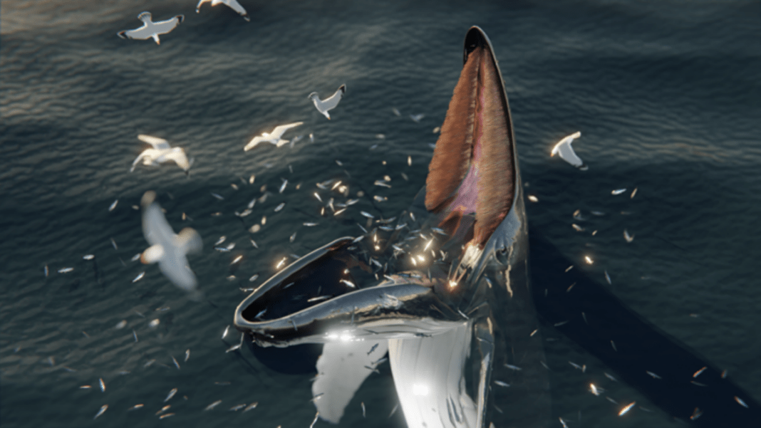 mysterious-creature-in-ancient-norse-manuscript-may-have-been-record-of-strange-whale-behaviour