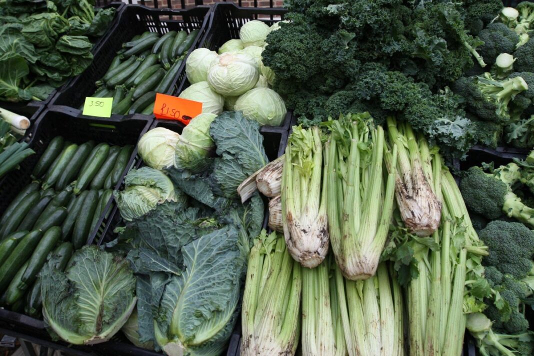 eating-leafy-greens-‘associated-with-fewer-brain-proteins-linked-to-alzheimer’s’