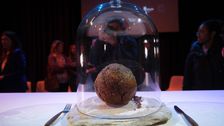 australian-company-makes-mammoth-meatball-using-actual-mammoth-dna