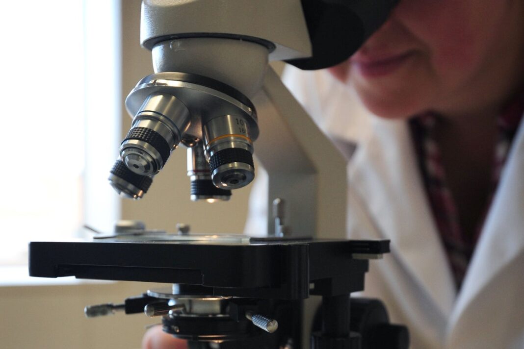 new-technique-could-help-diagnose-parkinson’s-disease-before-symptoms-show