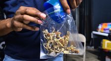 oregon’s-magic-mushroom-experiment-advances-with-1st-state-licensed-‘facilitators’