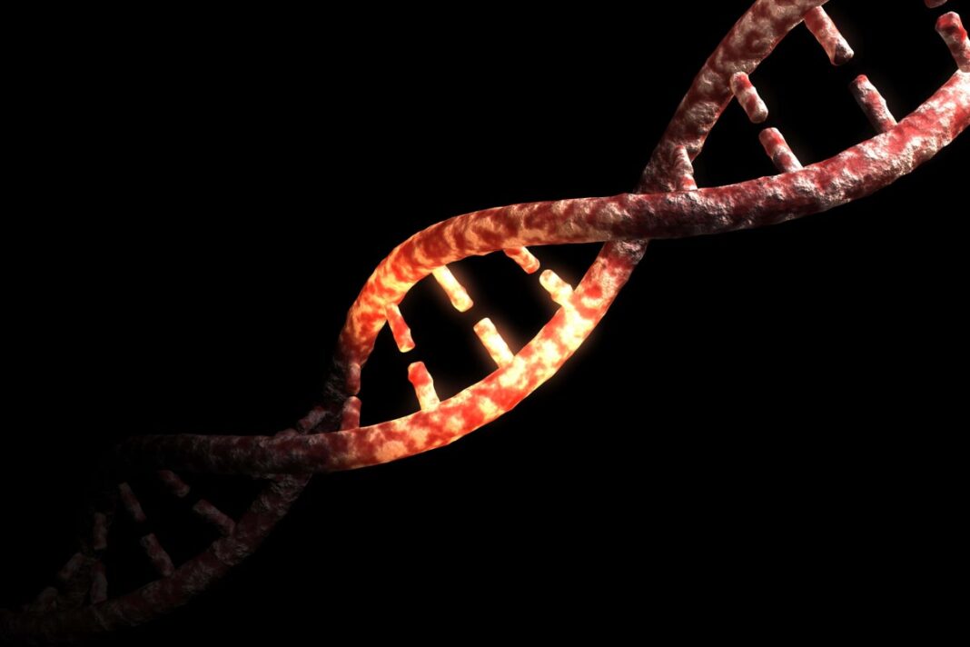 genetic-analysis-of-240-mammal-species-sheds-light-on-human-disease-origins
