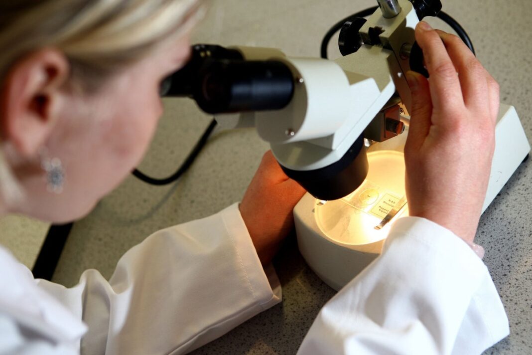 toxins-leaking-from-the-gut-‘are-damaging-fat-cells-and-driving-weight-gain’
