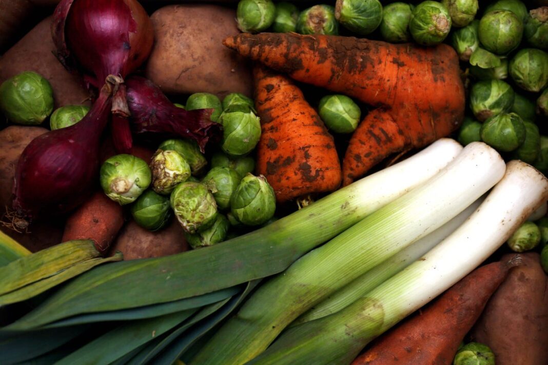plant-based-diets-may-be-linked-to-lower-cholesterol-levels-–-study