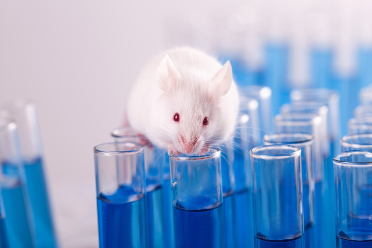 the-ban-on-animal-testing-for-cosmetics-hangs-in-the-balance