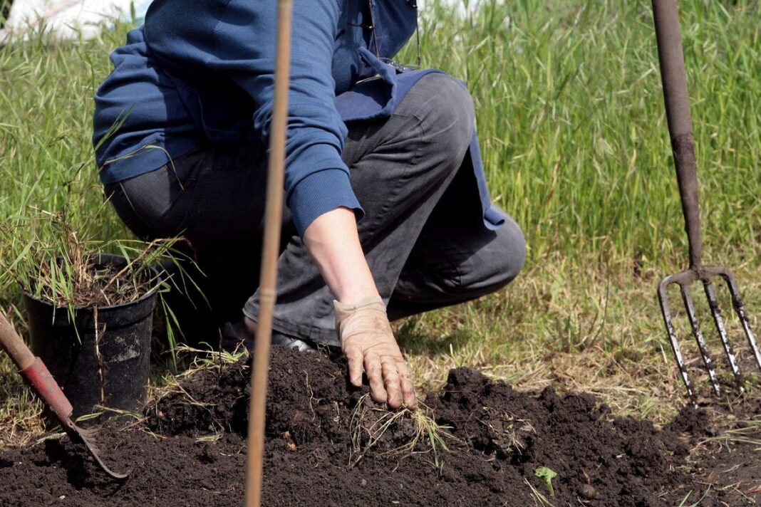 brisk-walking-or-gardening-could-counteract-genetic-risk-of-diabetes-–-study