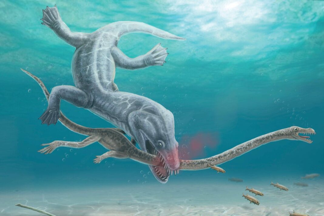 pre-historic-long-necked-reptiles-were-decapitated-by-their-predators-–-study