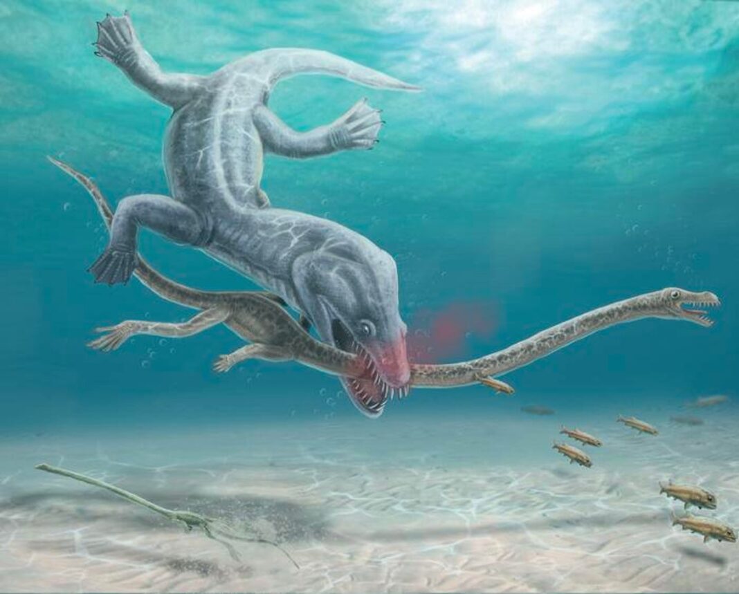 long-necked-dinosaur-era-sea-monsters-were-vulnerable-to-decapitation-by-predators,-fossil-confirms