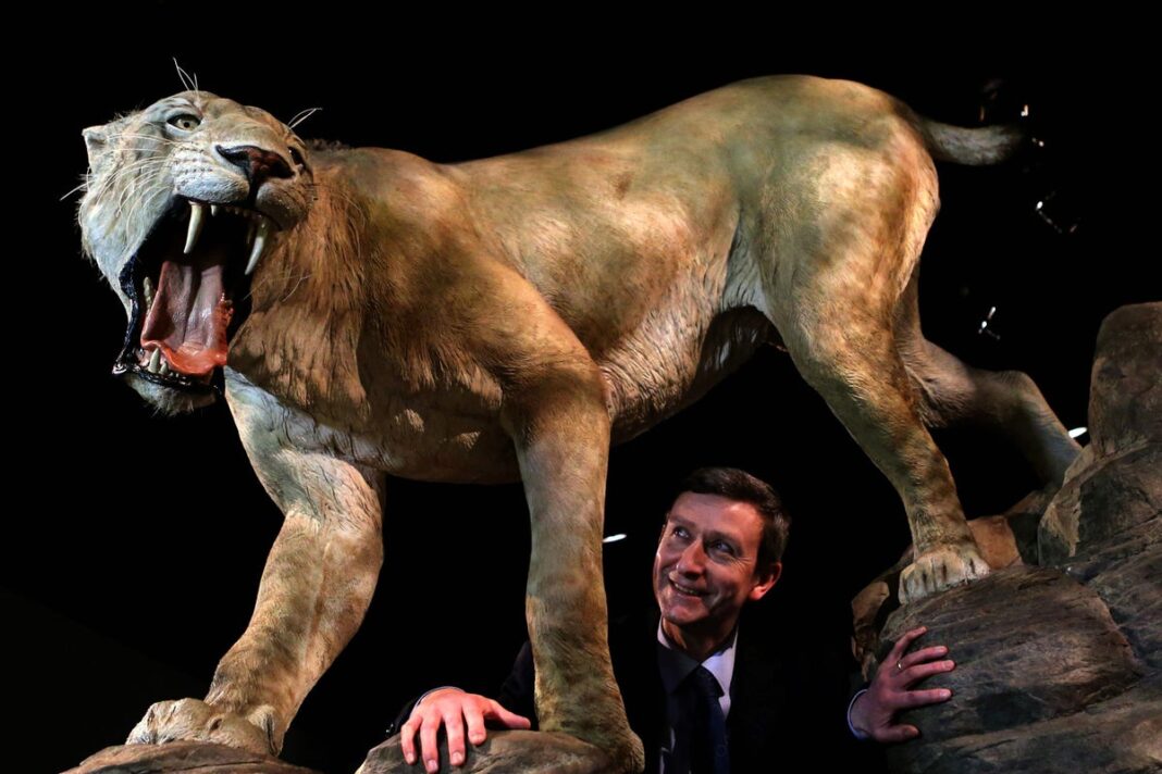 ice-age-sabre-tooth-cats-and-dire-wolves-suffered-from-diseased-joints-–-study